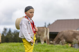 Alpabfahrt, Alpaufzug, Alpen, Alps, Appenzell, Appenzell Ausserrohden, Appenzeller Hinterland, Brauchtum, Frühling, Hochalp, Landwirtschaft, Ostschweiz, Schweiz, Sennen, Spring, Suisse, Switzerland, Tracht, Urnäsch, Wirtschaft, tradition, Öberefahre