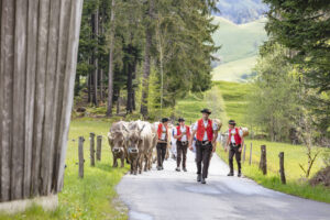 Alpabfahrt, Alpaufzug, Alpen, Alps, Appenzell, Appenzell Ausserrohden, Appenzeller Hinterland, Brauchtum, Frühling, Hochalp, Landwirtschaft, Ostschweiz, Schweiz, Sennen, Spring, Suisse, Switzerland, Tracht, Urnäsch, Wirtschaft, tradition, Öberefahre