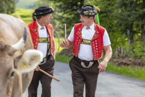 Alpabfahrt, Alpaufzug, Alpen, Alps, Appenzell, Appenzell Ausserrohden, Appenzeller Hinterland, Brauchtum, Frühling, Hochalp, Landwirtschaft, Ostschweiz, Schweiz, Sennen, Spring, Suisse, Switzerland, Tracht, Urnäsch, Wirtschaft, tradition, Öberefahre