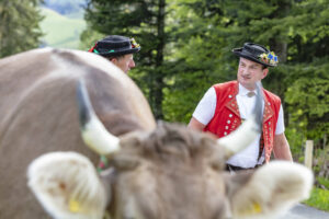 Alpabfahrt, Alpaufzug, Alpen, Alps, Appenzell, Appenzell Ausserrohden, Appenzeller Hinterland, Brauchtum, Frühling, Hochalp, Landwirtschaft, Ostschweiz, Schweiz, Sennen, Spring, Suisse, Switzerland, Tracht, Urnäsch, Wirtschaft, tradition, Öberefahre