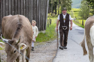 Alpabfahrt, Alpaufzug, Alpen, Alps, Appenzell, Appenzell Ausserrohden, Appenzeller Hinterland, Brauchtum, Frühling, Hochalp, Landwirtschaft, Ostschweiz, Schweiz, Sennen, Spring, Suisse, Switzerland, Tracht, Urnäsch, Wirtschaft, tradition, Öberefahre