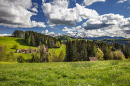 Alpstein, Appenzell, Bauernhof, Clouds, Frühling, Hügel, Ortsbild, Ostschweiz, Schweiz, Spring, Streusiedlung, Suisse, Switzerland, Säntis, Teufen, Wolken