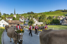 Appenzell, Appenzell Ausserrohden, Gais, Landwirtschaft, Ostschweiz, Schweiz, Sennen, Suisse, Switzerland, Tracht, Viehschau, Wirtschaft, tradition