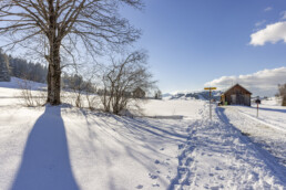 Appenzell, Appenzell Ausserrohden, Baum, Gais, Haus, Hütte, Jahreszeiten, Ostschweiz, Schweiz, Suisse, Switzerland, Verkehr, Wanderweg, Weg, Winter