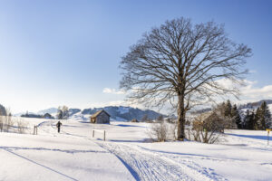 Appenzell, Appenzell Ausserrohden, Baum, Gais, Jahreszeiten, Ostschweiz, Schweiz, Sport, Suisse, Switzerland, Verkehr, Wanderweg, Weg, Winter, Wintersport