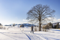 Appenzell, Appenzell Ausserrohden, Baum, Gais, Jahreszeiten, Ostschweiz, Schweiz, Sport, Suisse, Switzerland, Verkehr, Wanderweg, Weg, Winter, Wintersport