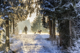 Appenzell, Appenzell Ausserrohden, Bäume, Gais, Jahreszeiten, Ostschweiz, Schweiz, Sport, Suisse, Switzerland, Tree, Trees, Verkehr, Wald, Wandern, Wanderweg, Weg, Winter