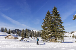 Alp, Alpen, Alps, Appenzell, Appenzell Ausserrohden, Appenzeller Hinterland, Baum, Berg, Bergmassiv, Hundwil, Jahreszeiten, Ostschweiz, Schweiz, Schwägalp, Sport, Suisse, Switzerland, Urnaesch, Urnäsch, Verkehr, Wanderweg, Weg, Winter, Wintersport, alps
