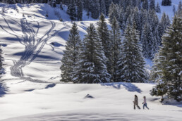 Alp, Alpen, Alps, Appenzell, Appenzell Ausserrohden, Appenzeller Hinterland, Berg, Bergmassiv, Bäume, Hundwil, Jahreszeiten, Ostschweiz, Schweiz, Schwägalp, Sport, Suisse, Switzerland, Tree, Trees, Urnaesch, Urnäsch, Wald, Winter, Wintersport, alps