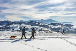 Appenzell Ausserrohden, Appenzeller Vorderland, Aussicht, Jahreszeiten, Rehetobel, Winter