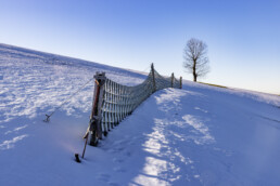 Appenzell, Appenzell Ausserrohden, Appenzeller Vorderland, Baum, Jahreszeiten, Ostschweiz, Rehetobel, Schnee, Schweiz, Suisse, Switzerland, Wetter, Winter