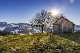 Appenzell, Appenzell Ausserrohden, Appenzeller Vorderland, Baum, Frühling, Haus, Hütte, Ostschweiz, Rehetobel, Schnee, Schweiz, Sonnenschein, Spring, Suisse, Switzerland, Wetter