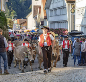 Appenzell, Appenzell Ausserrohden, Schweiz, Schwellbrunn, Sennen, Suisse, Switzerland, Tracht, Viehschau, tradition