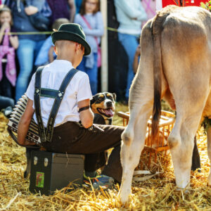 Appenzell, Appenzell Ausserrohden, Schweiz, Schwellbrunn, Sennen, Suisse, Switzerland, Tracht, Viehschau, tradition