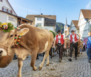 Appenzell, Appenzell Ausserrohden, Schweiz, Schwellbrunn, Sennen, Suisse, Switzerland, Tracht, Viehschau, tradition
