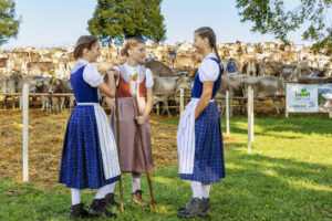 Appenzell, Appenzell Ausserrohden, Schweiz, Schwellbrunn, Sennen, Suisse, Switzerland, Tracht, Viehschau, tradition