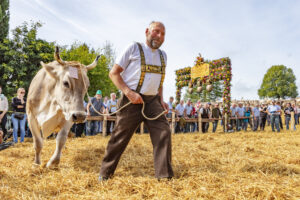 Appenzell, Appenzell Ausserrohden, Schweiz, Schwellbrunn, Sennen, Suisse, Switzerland, Tracht, Viehschau, tradition