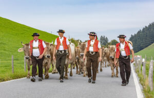 Appenzell, Appenzell Ausserrohden, Schweiz, Schwellbrunn, Sennen, Suisse, Switzerland, Tracht, Viehschau, tradition