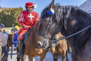 Appenzell, Appenzell Ausserrohden, Appenzeller Hinterland, Bloch, Brauchtum, Ostschweiz, Schweiz, Sennen, Stein, Suisse, Switzerland, Urnäsch, tradition