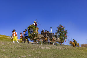 Appenzell, Appenzell Ausserrohden, Appenzeller Hinterland, Bloch, Brauchtum, Ostschweiz, Schweiz, Sennen, Stein, Suisse, Switzerland, Urnäsch, tradition
