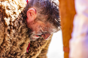 Appenzell, Appenzell Ausserrohden, Appenzeller Hinterland, Bloch, Brauchtum, Hundwil, Ostschweiz, Schweiz, Sennen, Suisse, Switzerland, Urnäsch, tradition
