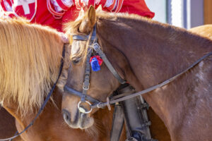Appenzell, Appenzell Ausserrohden, Appenzeller Hinterland, Bloch, Brauchtum, Hundwil, Ostschweiz, Schweiz, Sennen, Suisse, Switzerland, Urnäsch, tradition