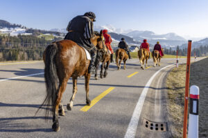 Appenzell, Appenzell Ausserrohden, Appenzeller Hinterland, Bloch, Brauchtum, Ostschweiz, Schweiz, Sennen, Suisse, Switzerland, Urnäsch, Waldstatt, tradition