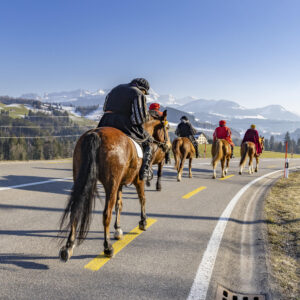 Appenzell, Appenzell Ausserrohden, Appenzeller Hinterland, Bloch, Brauchtum, Ostschweiz, Schweiz, Sennen, Suisse, Switzerland, Urnäsch, Waldstatt, tradition