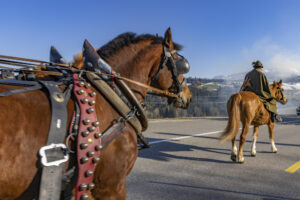 Appenzell, Appenzell Ausserrohden, Appenzeller Hinterland, Bloch, Brauchtum, Ostschweiz, Schweiz, Sennen, Suisse, Switzerland, Urnäsch, Waldstatt, tradition