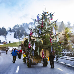 Appenzell, Appenzell Ausserrohden, Appenzeller Hinterland, Bloch, Brauchtum, Ostschweiz, Schweiz, Sennen, Suisse, Switzerland, Urnäsch, tradition