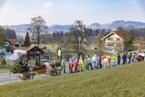 Appenzell, Appenzell Ausserrohden, Bloch, Brauchtum, Schweiz, Stein, Suisse, Switzerland, Teufen
