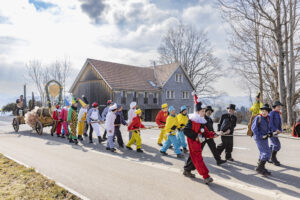 Appenzell, Appenzell Ausserrohden, Bloch, Brauchtum, Schweiz, Stein, Suisse, Switzerland, Teufen