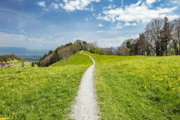 Appenzell, Appenzell Ausserrohden, Appenzeller Vorderland, Aussicht, Blumenwiese, Frühling, Ostschweiz, Schweiz, Spring, Suisse, Switzerland, Verkehr, Walzenhausen, Wanderweg, Weg, Wiese