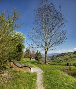 Appenzell, Appenzell Ausserrohden, Appenzeller Vorderland, Aussichtsbank, Bank, Baum, Lutzenberg, Ostschweiz, Suisse, Switzerland, Wienacht
