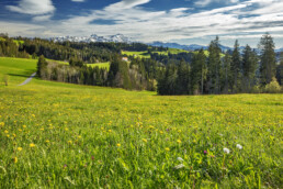 Appenzell, Appenzell Ausserrohden, Ostschweiz, Speicher, Suisse, Switzerland