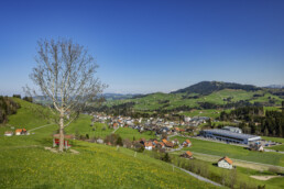 Appenzell, Appenzell Ausserrohden, Appenzeller Hinterland, Aussichtsbank, Bank, Baum, Dorf, Ostschweiz, Schweiz, Suisse, Switzerland, Waldstatt