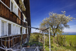 Appenzell, Appenzell Ausserrohden, Appenzeller Vorderland, Blütenbaum, Frühling, Ostschweiz, Schweiz, Spring, Suisse, Switzerland, Wolfhalden, spring