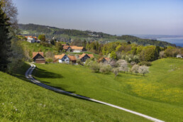 Appenzell, Appenzell Ausserrohden, Appenzeller Vorderland, Blütenbaum, Frühling, Ortsbild, Ostschweiz, Spring, Suisse, Switzerland, Weiler, Wolfhalden, spring