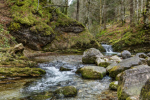 Appenzell, Ostschweiz