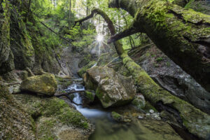 Appenzell, Schweiz, Suisse, Switzerland, Urnäsch