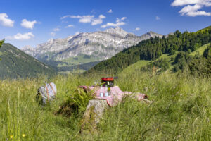 Appenzell, Appenzell Ausserrohden, Appenzeller Hinterland, Ostschweiz, Schweiz, Suisse, Switzerland, Teufen