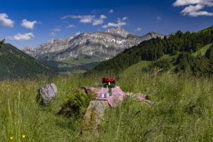 Appenzell, Appenzell Ausserrohden, Appenzeller Hinterland, Ostschweiz, Schweiz, Suisse, Switzerland, Teufen