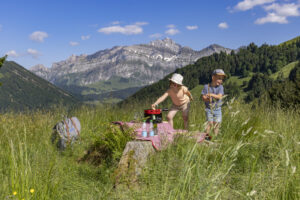 Appenzell, Appenzell Ausserrohden, Appenzeller Hinterland, Ostschweiz, Schweiz, Suisse, Switzerland, Teufen