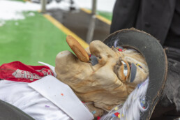 Appenzell Ausserrohden, Gidio Hosenstoss, Herisau, Schweiz, Suisse, Switzerland