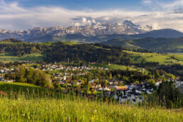 Alpen, Appenzell, Appenzell Ausserrohden, Dorf, Frühling, Gipfel, Mai, Schweiz, Spring, Suisse, Switzerland, Säntis, Teufen, Wiese, spring