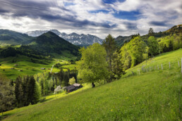 Appenzell, Appenzell Ausserrohden, Appenzeller Hinterland, Berg, Bergmassiv, Bäume, Frühling, Hügel, Schweiz, Spring, Suisse, Switzerland, Säntis, Tree, Trees, Urnäsch, Wald