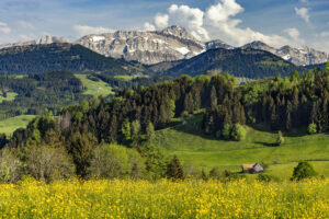 Appenzell, Appenzell Ausserrohden, Appenzeller Hinterland, Schweiz, Suisse, Switzerland, Urnäsch