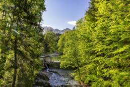 Appenzell, Appenzell Ausserrohden, Appenzeller Hinterland, Bäume, Schweiz, Suisse, Switzerland, Tree, Trees, Urnäsch, Wald, Wasser