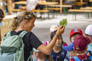 Appenzell, Appenzell Ausserrohden, Appenzeller Hinterland, Hundwil, Ostschweiz, Schweiz, Suisse, Switzerland
