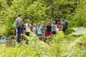 Appenzell, Appenzell Ausserrohden, Appenzeller Hinterland, Hundwil, Ostschweiz, Schweiz, Suisse, Switzerland